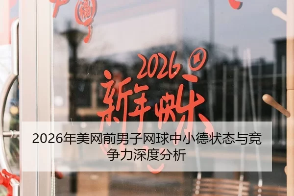 2026年美网前男子网球中小德状态与竞争力深度分析