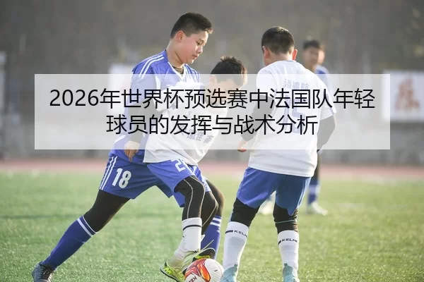 2026年世界杯预选赛中法国队年轻球员的发挥与战术分析