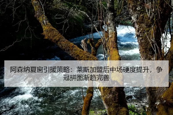 阿森纳夏窗引援策略：莱斯加盟后中场硬度提升，争冠拼图渐趋完善
