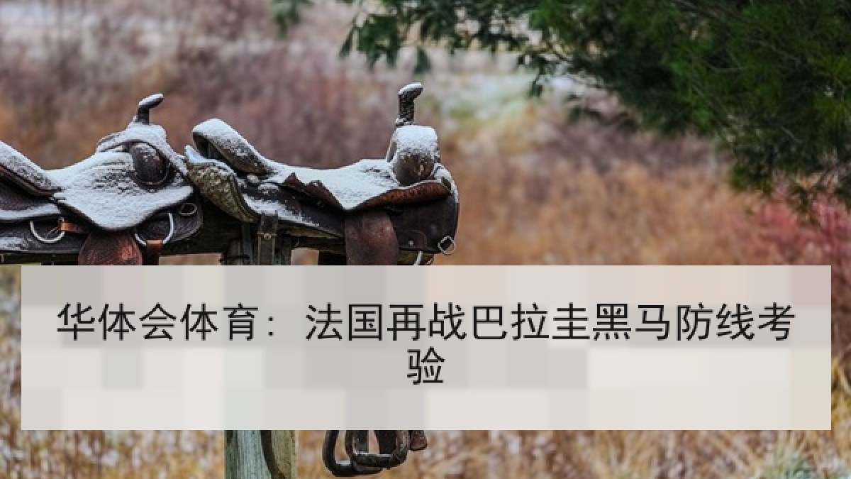 华体会体育: 法国再战巴拉圭黑马防线考验