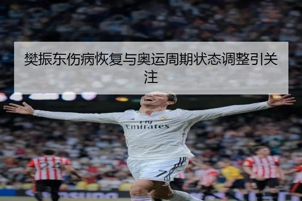 樊振东伤病恢复与奥运周期状态调整引关注